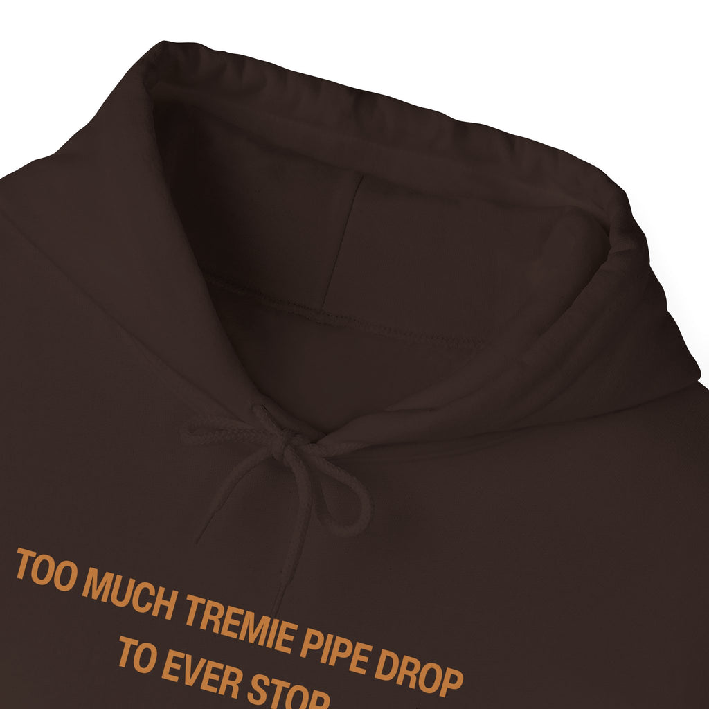 Too Much Tremie Pipe Drop to Ever Wanna Stop Unisex Heavy Blend™ Hooded Sweatshirt